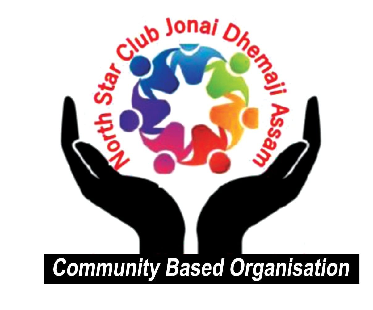 Organisation-Logo-NSCJ-North-Star-Club